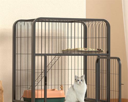 让宠物猫不再厌倦笼子（打造舒适的家庭环境）