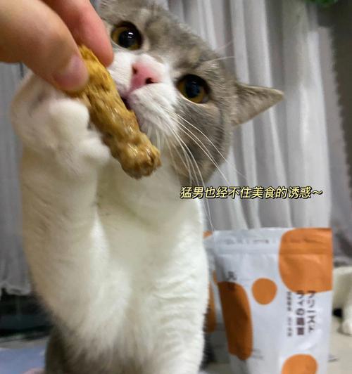 猫咪为什么吃鸡肉会拉稀（探究鸡肉对猫咪消化的影响及应对方法）