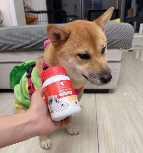 解决猫咪大便不成形的方法（以宠物为主）