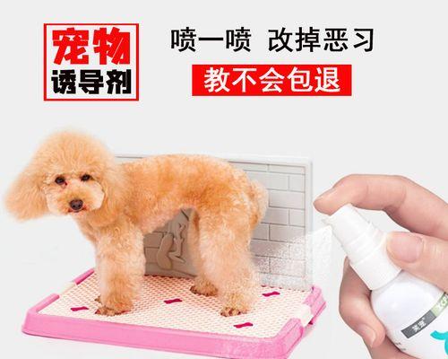 猫咪大便的颜色指南（了解宠物健康从观察大便开始）