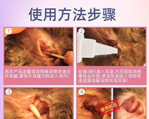 揭秘猫咪耳朵坏死的症状和治疗方法（了解宠物猫咪的健康问题）