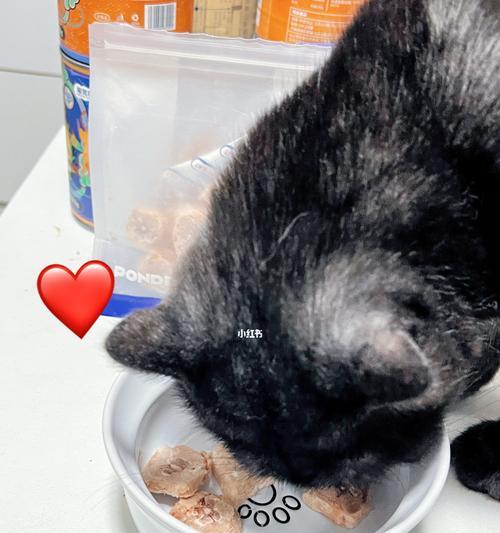 猫咪可以吃鸡爪子吗（探究猫咪食用鸡爪子的安全性及注意事项）