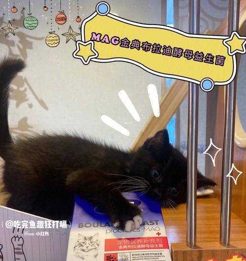 揭秘猫咪拉水的奥秘（宠物的神奇行为与健康问题）