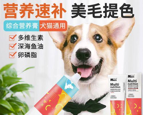 如何选择适合病猫的营养膏（宠物猫生病后如何选择合适的营养膏）
