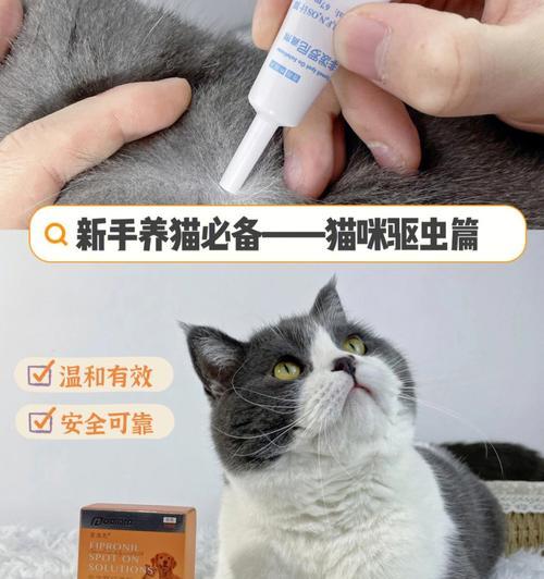 宠物猫咪驱虫会拉虫？剖析猫咪体内驱虫现象