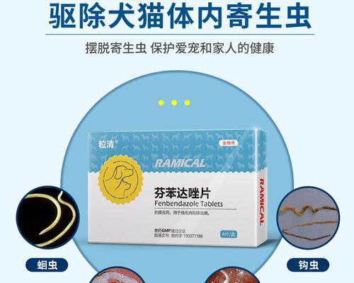猫咪驱虫药大揭秘（了解宠物用药）