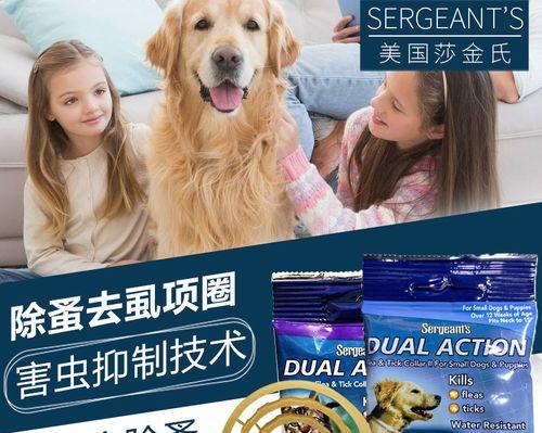 如何给宠物猫咪体外驱虫（从药品选择到驱虫方法）