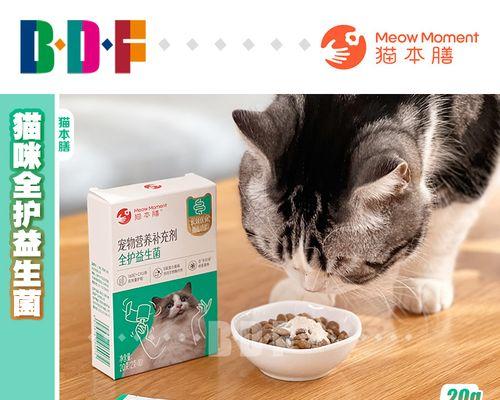 宠物猫咪吐拉肚子的应对方法（以健康为重）