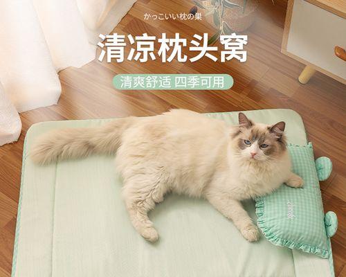 猫咪吞线，你需要知道的一切（如何预防和处理猫咪吞线的问题）