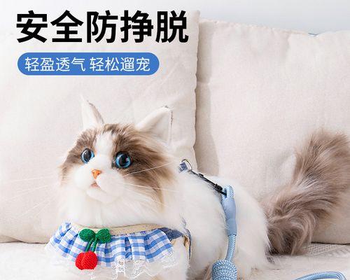 大狗把小狗吃了怎么办？怎样避免狗狗之间的攻击行为？