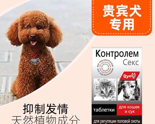 大狗把小狗吃了怎么办？怎样避免狗狗之间的攻击行为？
