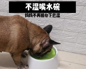 大狗吃什么吐什么是怎么回事？狗狗呕吐的原因有哪些？