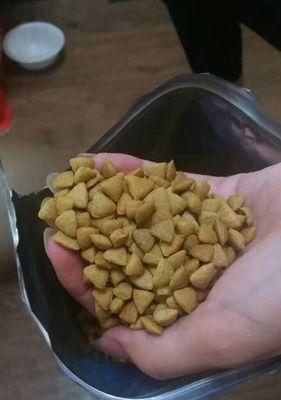 大狗狗粮粮怎么做？自制狗粮的注意事项有哪些？