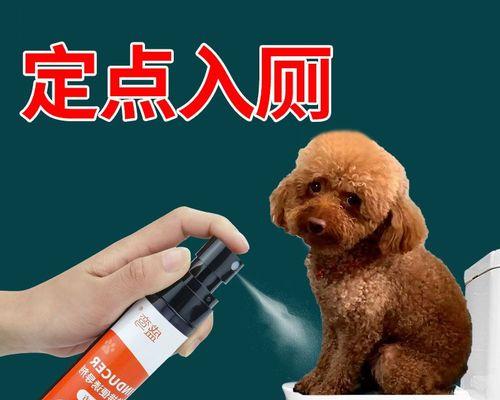 狗狗便便外面有深色怎么办？便便颜色变化的原因有哪些？
