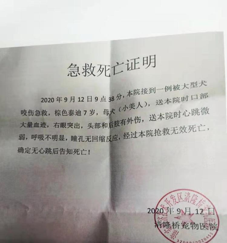 公的泰迪多大会发情？泰迪犬的发情周期是怎样的？