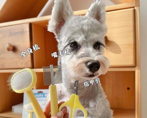 出生两天小狗怎么喂养？小狗的饮食标准是什么？