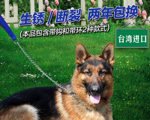 大狗发烧不退怎么办？大狗发烧不退有哪些治疗方法？