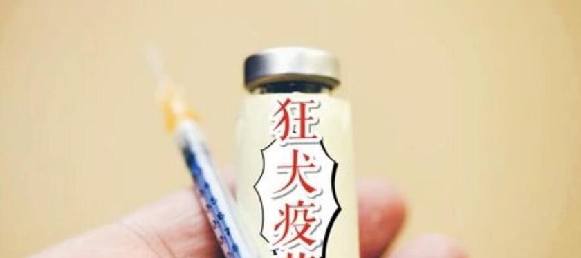 打狂犬疫苗有什么不良反应？狂犬疫苗的副作用有哪些？