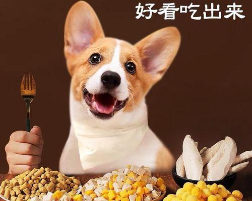 不含激素的狗粮有哪些推荐？怎样选择健康的狗粮？