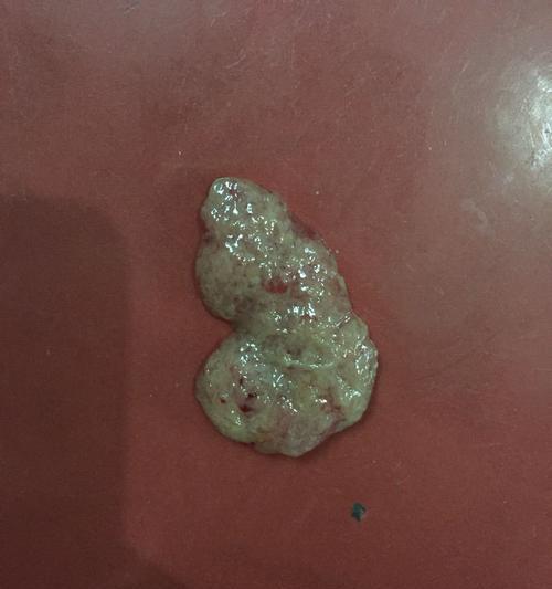 刚出生小狗几天拉屎？小狗的排便规律是怎样的？