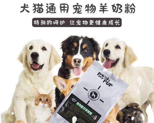 刚出生泰迪喂羊奶粉吗？泰迪幼犬的饮食注意事项有哪些？