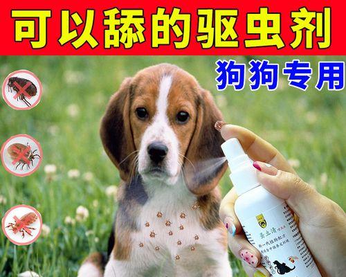 狗吃驱虫药吐了什么原因？驱虫药对狗狗的影响有哪些？