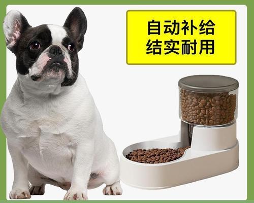 法斗喂多少狗粮？法斗犬的饮食标准是什么？