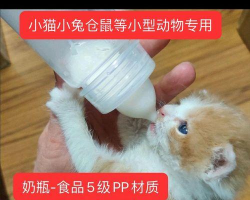 刚出生的小狗很难喂奶怎么办？怎样判断小狗的健康状况？