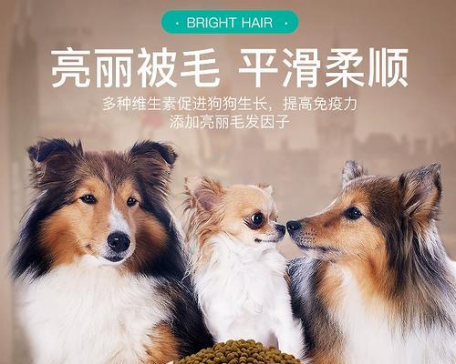 博美狗粮有什么推荐？博美犬适合吃什么狗粮？