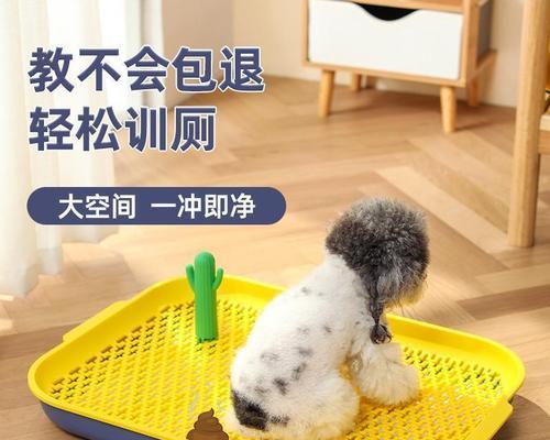 出生20天小狗尿怎么办？怎样判断小狗的健康状况？