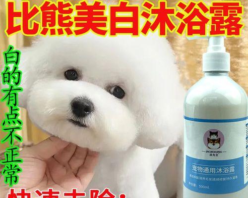 狗狗长白毛如何消除？狗狗白毛的原因及解决方法有哪些？