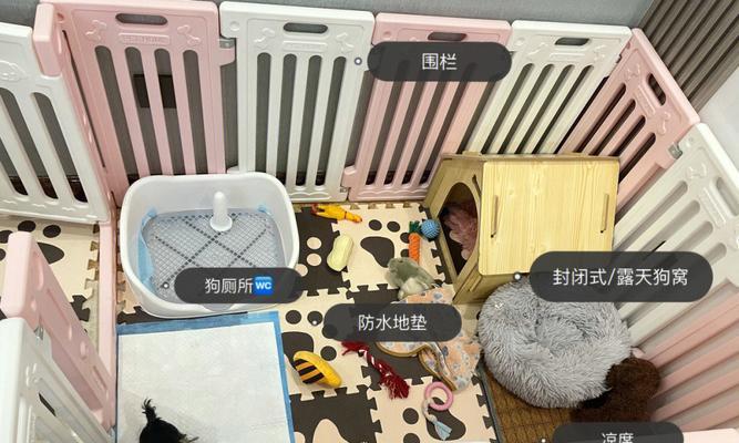 刚满月的小狗狗窝布置需要注意什么？小狗窝的布置方法有哪些？