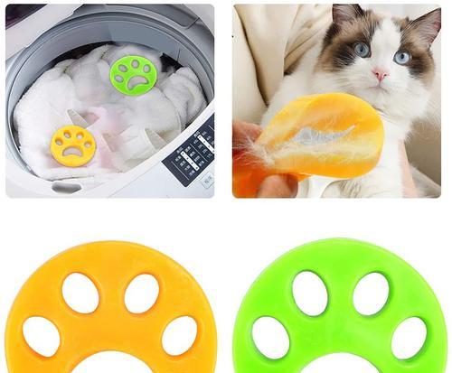 电动牙刷挠猫咪头好吗？猫咪的护理方法有哪些？