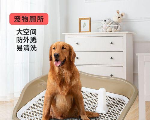 刚出生小狗便便是什么样的？新生小狗的排便规律是怎样的？