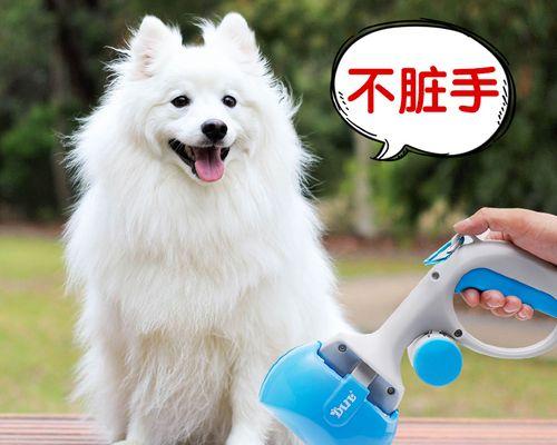 刚出生小狗便便是什么样的？新生小狗的排便规律是怎样的？
