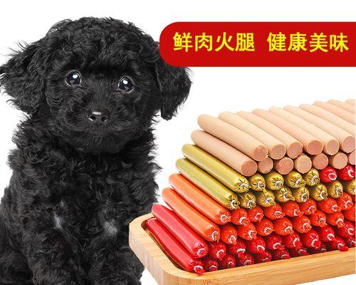 宠物狗泰迪能吃什么？泰迪犬的饮食注意事项有哪些？