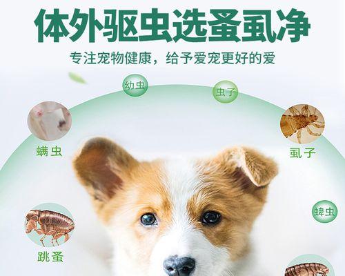狗狗驱虫应该在哪个季节进行？春季还是秋季更合适？
