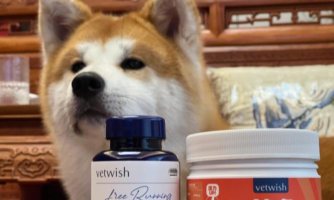 狗狗软骨素几岁开始吃最好？常见问题解答
