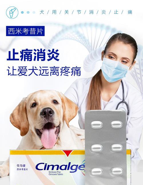 狗狗神经炎怎么治？有效治疗方法有哪些？