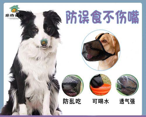狗狗突然在家里吠叫不停怎么办？可能的原因有哪些？
