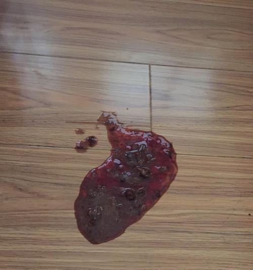 狗狗吐血水是什么原因？如何处理？