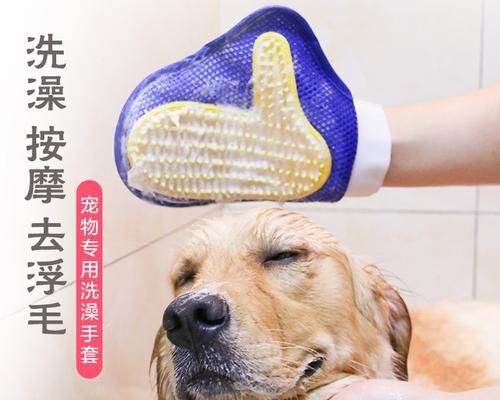 狗狗脱毛期间可以洗澡吗？需要注意什么？
