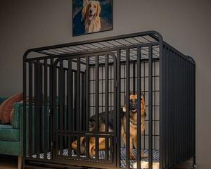 狗狗晚上应该睡笼子吗？如何训练狗狗适应笼子？