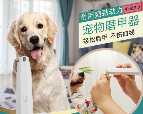 狗狗为什么要剪爪？剪爪对宠物健康有哪些好处？