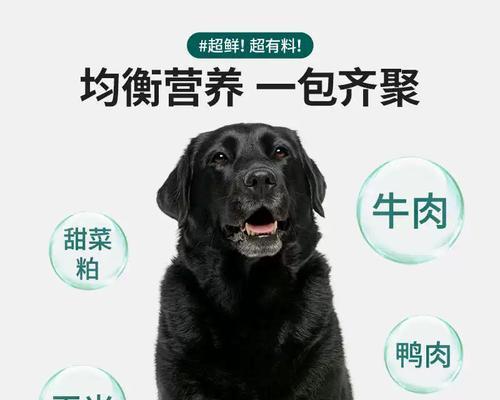 纯种土狗吃什么狗粮好消化吗？如何治狗狗不吃狗粮？