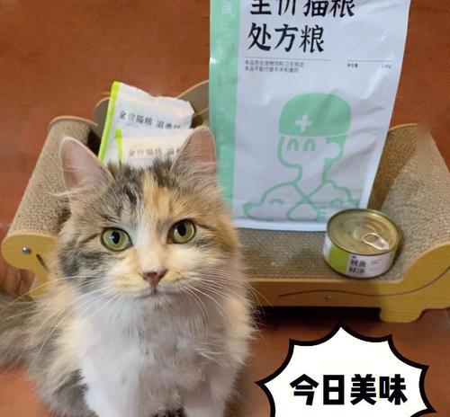 换猫粮后猫咪大便不成形怎么办？需要立即就医吗？