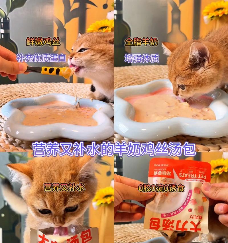 幼猫不爱吃猫粮可以给什么药吗