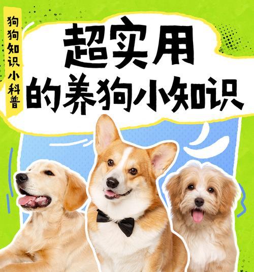 狗狗出售狗粮时应注意哪些问题？