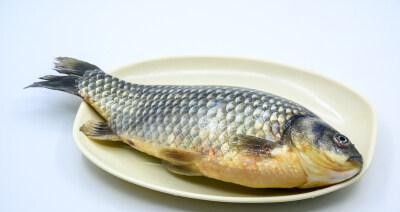哪些鱼类食物对红斑狼疮患者有益？