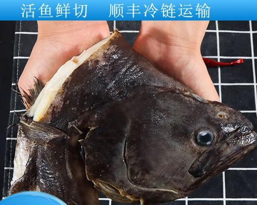 比目鱼辅食鱼排适合哪些宠物？